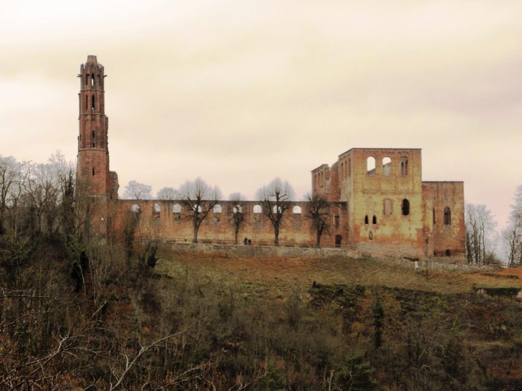 Klosterruine Limburg - 2015